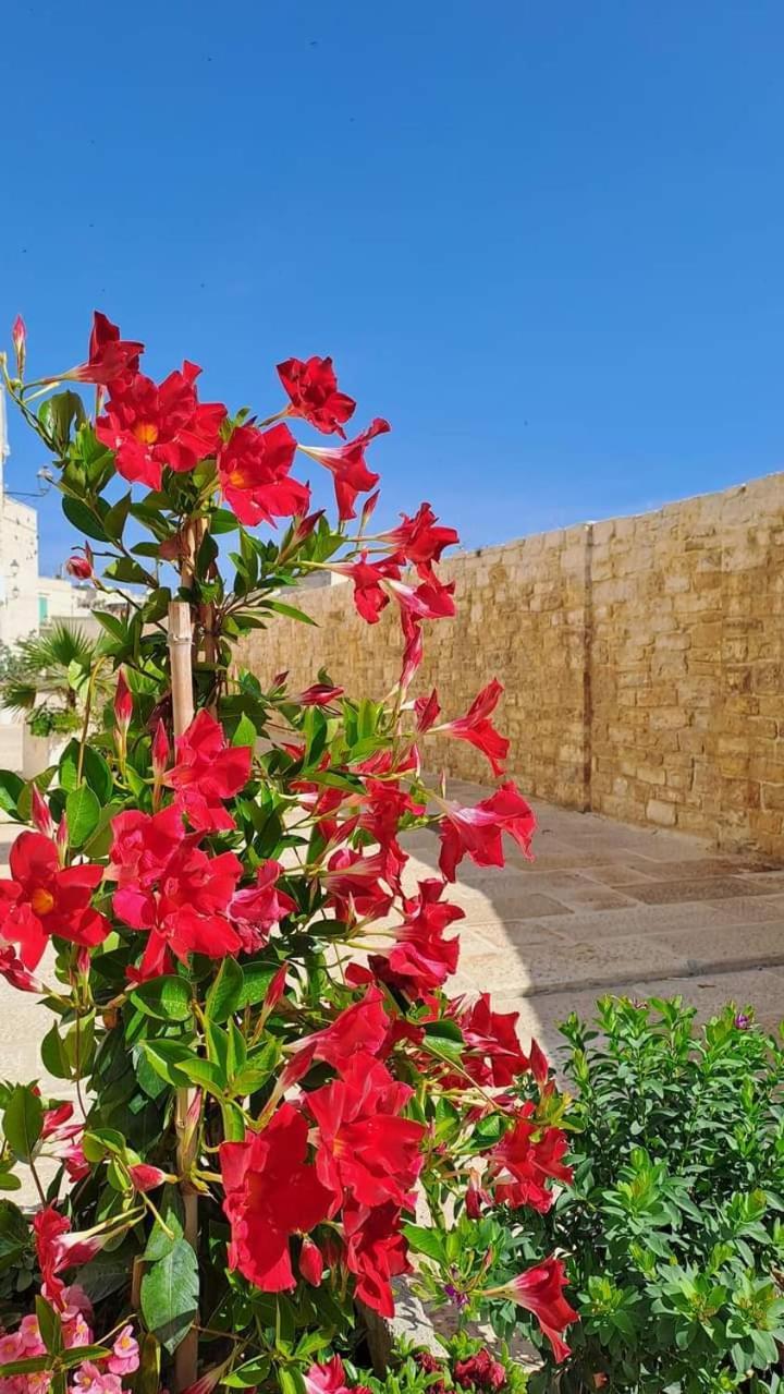 Villa H2O Giovinazzo Exterior foto